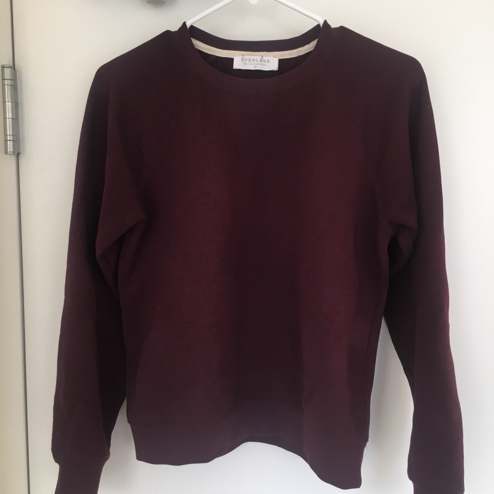Everlane crew neck sweatshirt / pullover.